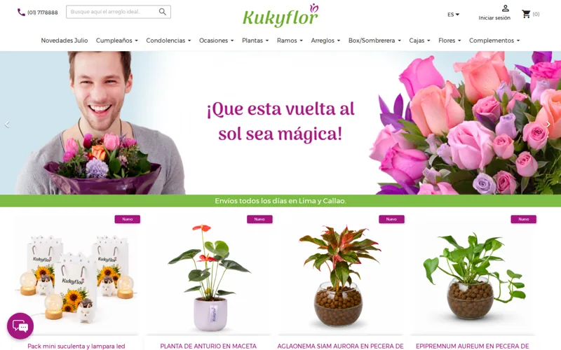 Website screenshot of Kukyflor